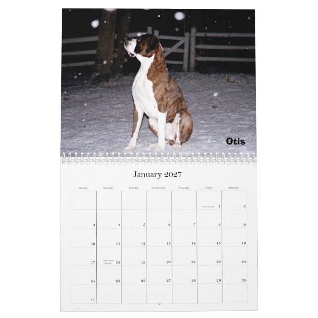 BoxerCrazy 2009 Calendar (Jan 2027)
