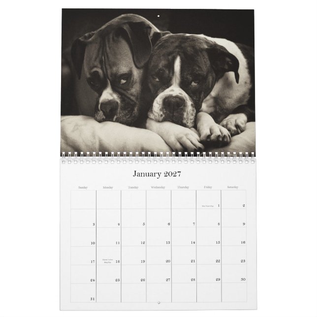 BOXERS 2010 CALENDAR (Jan 2027)