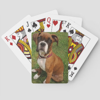 BOXERS ARE SPECIAL PLAYING CARDS