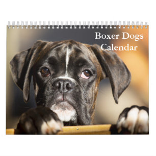 Boxers Dogs 2025 Calendar