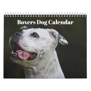 Boxers Dogs 2025 Calendrier