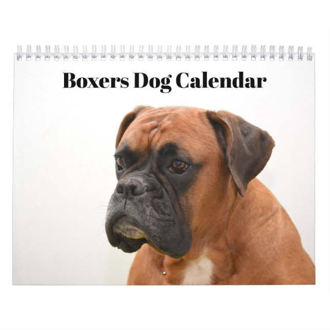 Boxers Dogs 2026 Calendar (Cover)