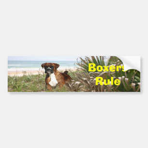 Boxers Rule Bumper Sticker