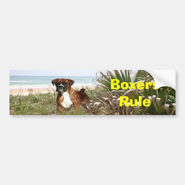 Boxers Rule Bumper Sticker (Front)
