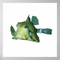 Boxfish - Abstract Design - Cut out of a photo |