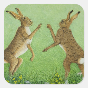 Boxing clever square sticker