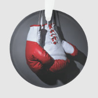 Boxing gloves