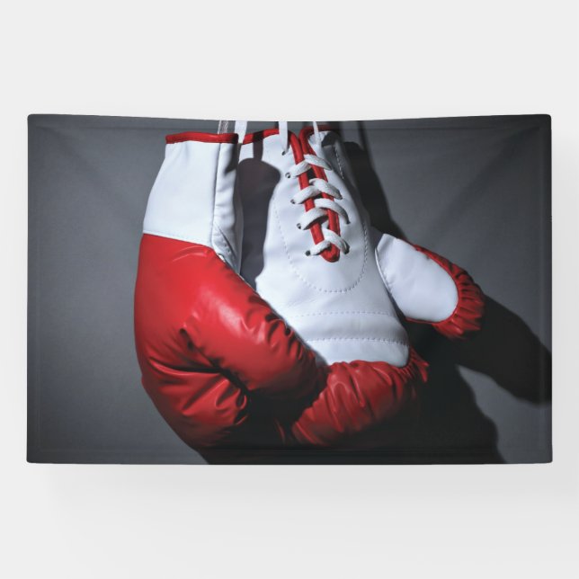 Boxing gloves  banner (Horizontal)