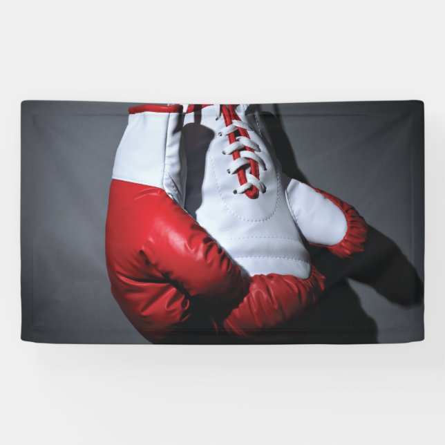 Boxing gloves banner (Horizontal)