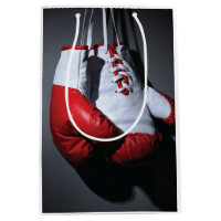 Boxing gloves