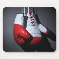 Boxing gloves