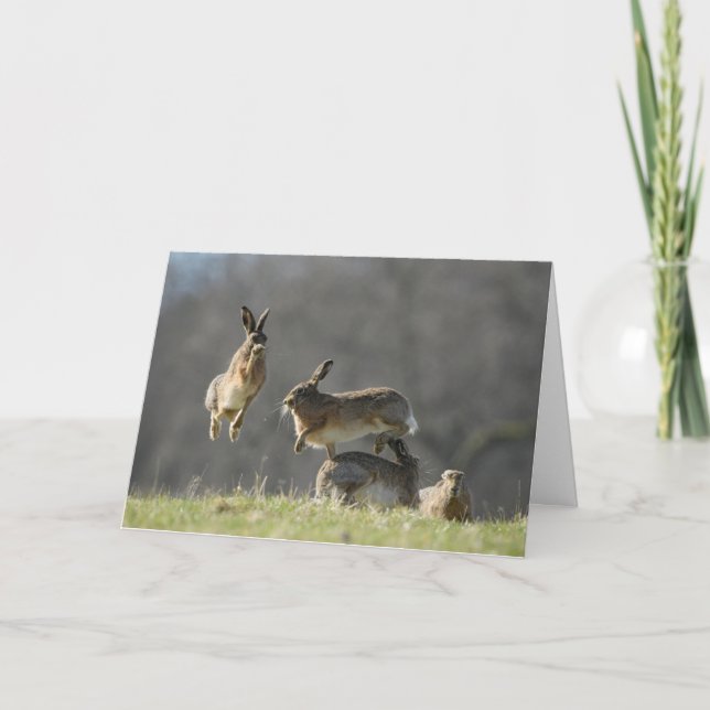 Boxing hares card (Front)
