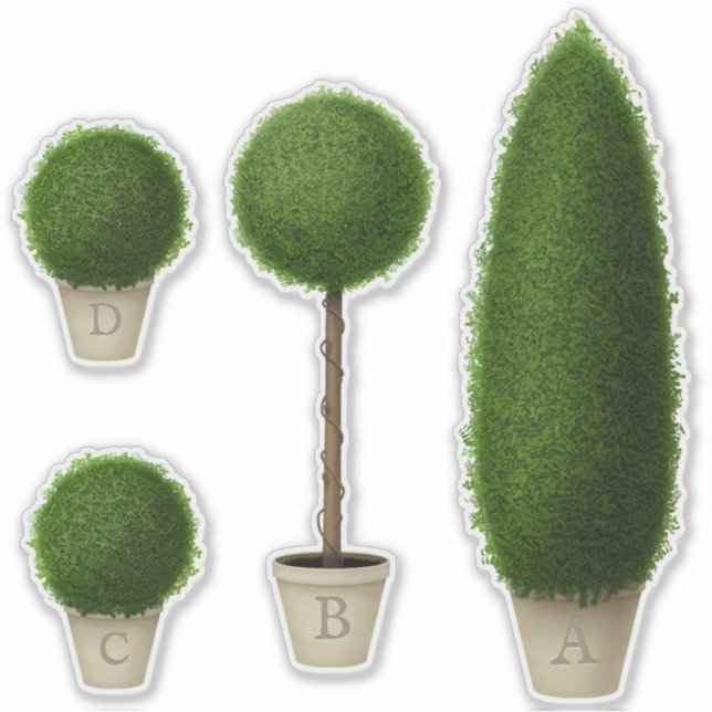 Boxwood Topiary Plants Monogram Custom Alphabet (Front)