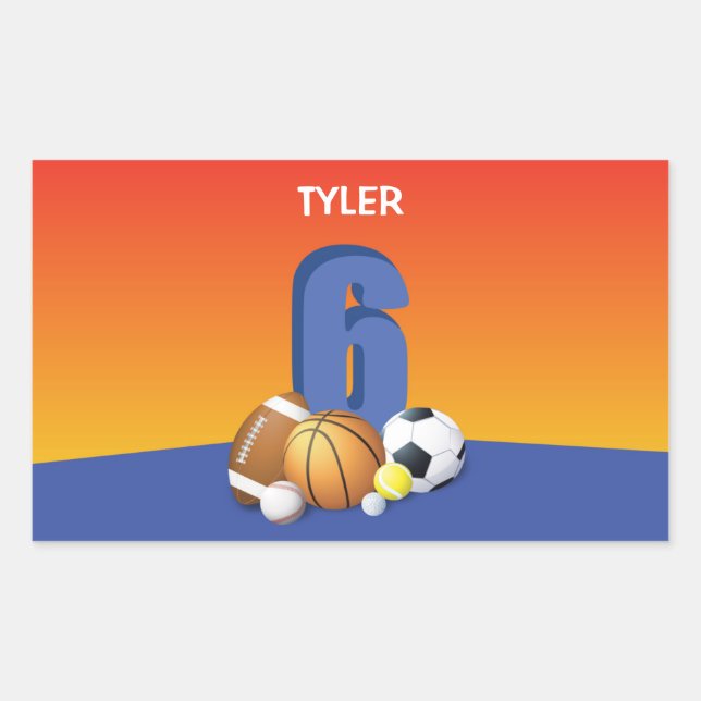 Boy 6th Birthday Sports Balls Sticker (Front)