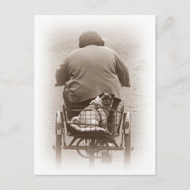 Boy And Pug Dog Going For A Ride Postcard (Front)