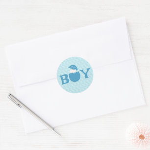 Boy Baby Gender Reveal Party Classic Round Sticker