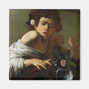 Boy Bitten by a Lizard, c.1595-1600 (oil on canvas Magnet