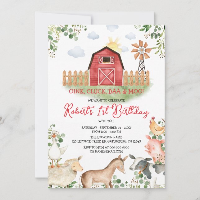 Boy Farm Animals Barnyard Red Gingham Birthday Invitation (Front)