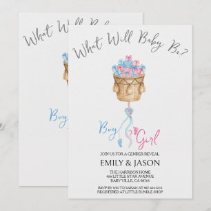 Boy Or Girl Blue Or Pink Gender Reveal Invitation