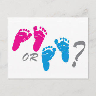 boy or girl? gender reveal party invitation postcard