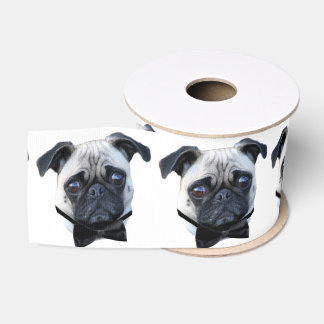 Boy Pug dog 3' grosgrain ribbon