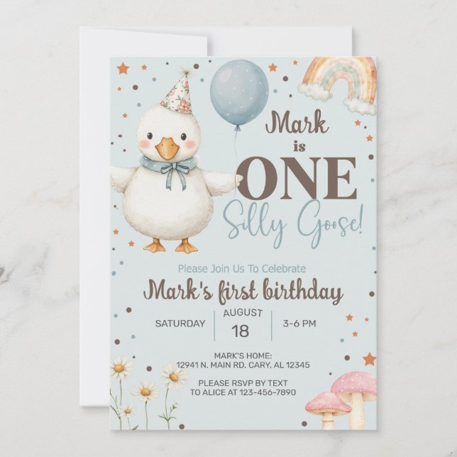 Boy Silly Goose 1st first birthday invite, goose. Invitation (Front)