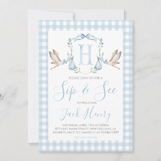 Boy Stork Preppy Gingham Blue Sip & See Invitation