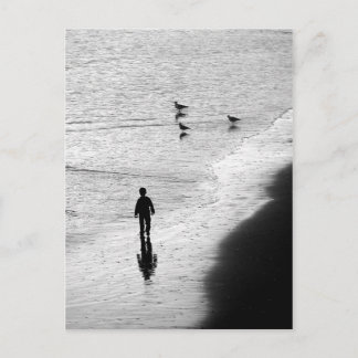 Boy Wading in Surf Postcard