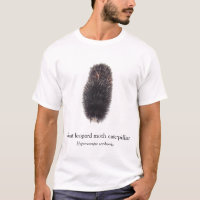 BOYB Giant Leopard Moth Caterpillar White