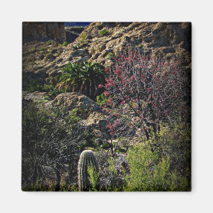 Boyce Thompson Arboretum Magnet