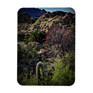 Boyce Thompson Arboretum Magnet