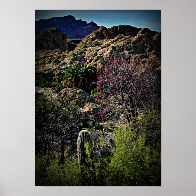 Boyce Thompson Arboretum Poster (Front)