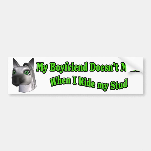 Boyfriend Ride Stud Bumper Sticker Horse Funny (Front)