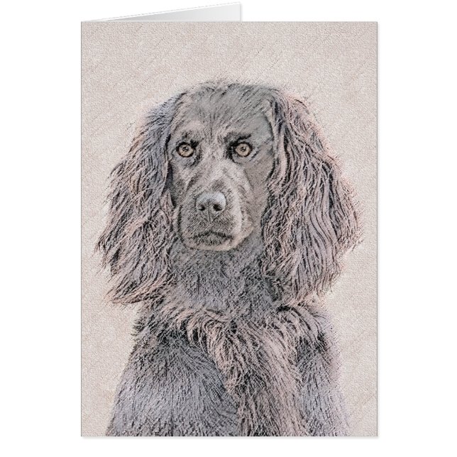 Boykin Peinture Espagnole - Cute Original Chien Ar (Devant)