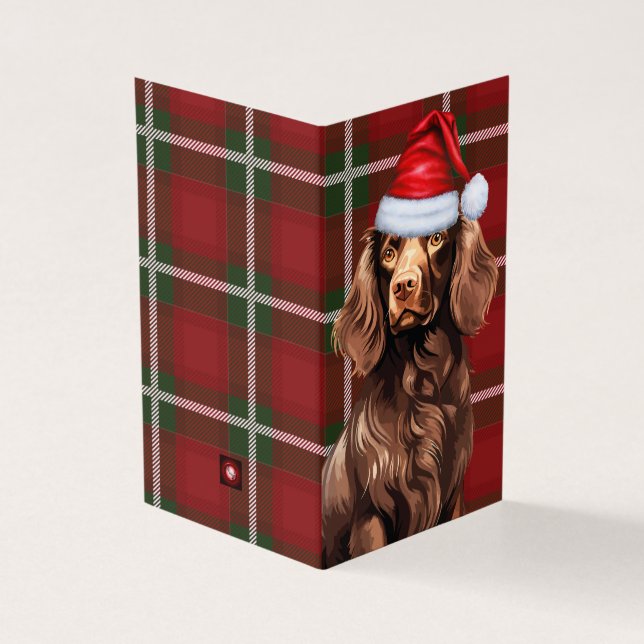 Boykin Spaniel Chien de Noël avec Plaid de vacance (Outside)