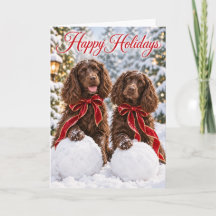 Boykin Spaniel Christmas Card Holiday Card