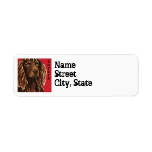 Boykin Spaniel Color Block