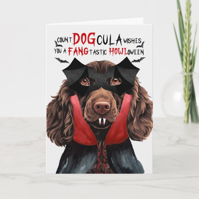 Boykin Spaniel Dog Funny Count DOGcula Halloween Holiday Card (Front)