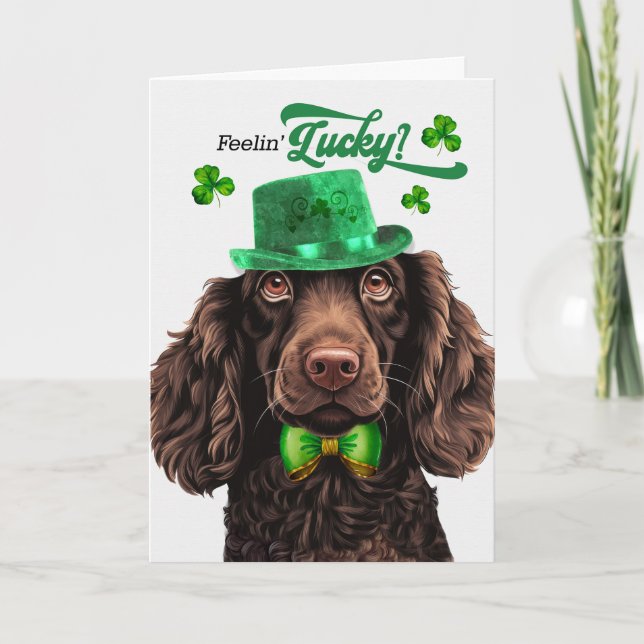 Boykin Spaniel Dog Lucky St Patrick's Day Holiday Card (Front)