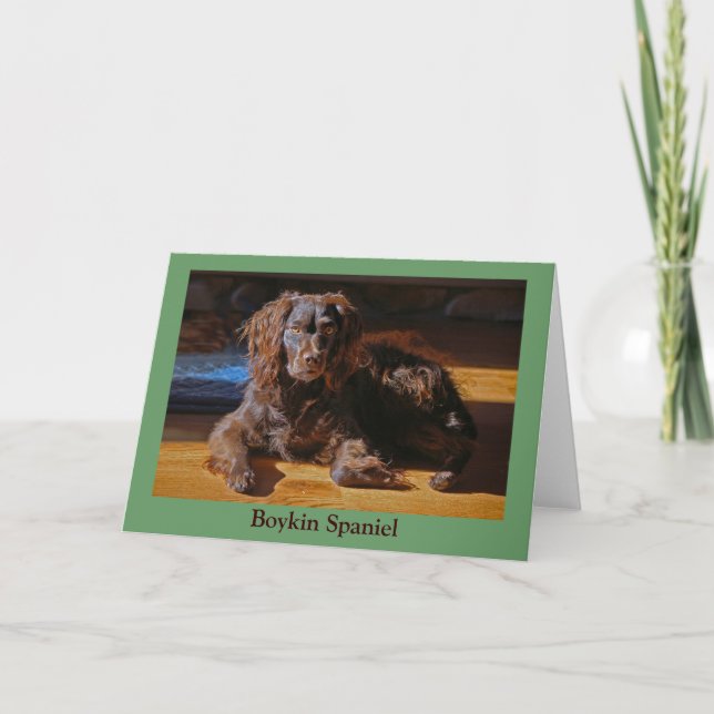 Boykin Spaniel Greeting Card (Front)