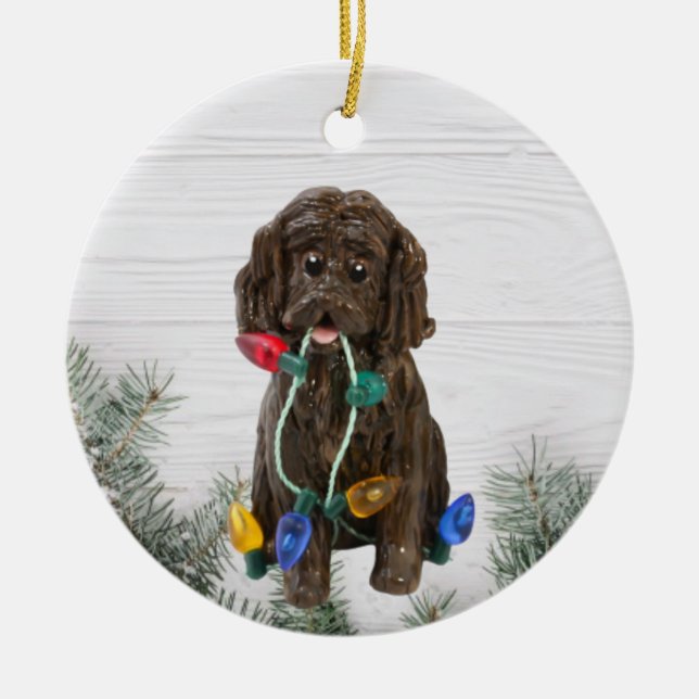 Boykin Spaniel ornement de Noël (Devant)