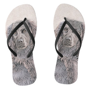Boykin Spaniel Painting - Cute Original Dog Art Flip Flops