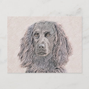 Boykin Spaniel Painting - Cute Original Dog Art Postcard