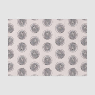 Boykin Spaniel Painting Little Brown LBD Dog Art Tissue Paper