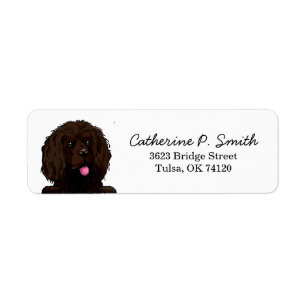 Boykin Spaniel Return Address