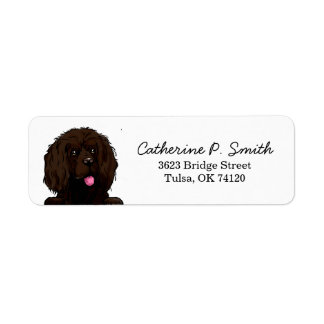Boykin Spaniel Return Address
