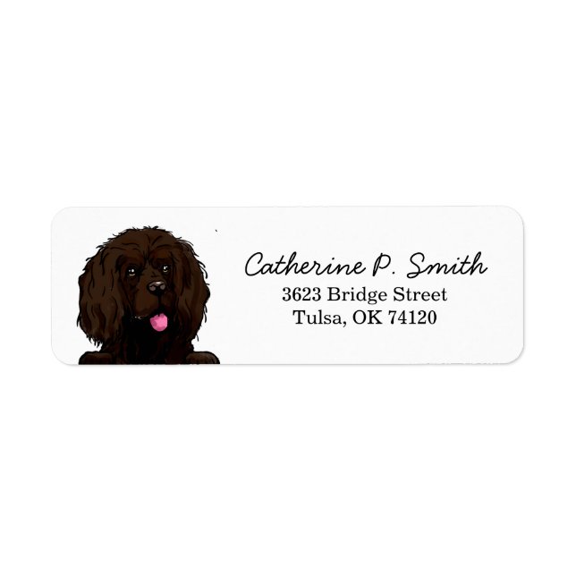 Boykin Spaniel Return Address (Front)