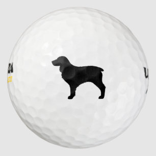 Boykin Spaniel Silhouette Golf Balls