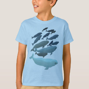 Boy's Beluga Whale Sweatshirt Baby Beluga Shirts