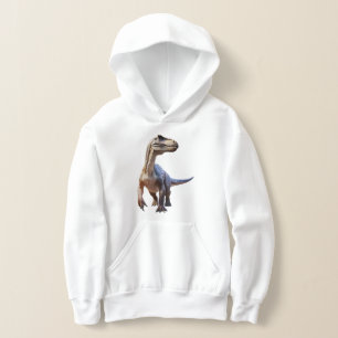 Boy's Dinosaur Hoodie